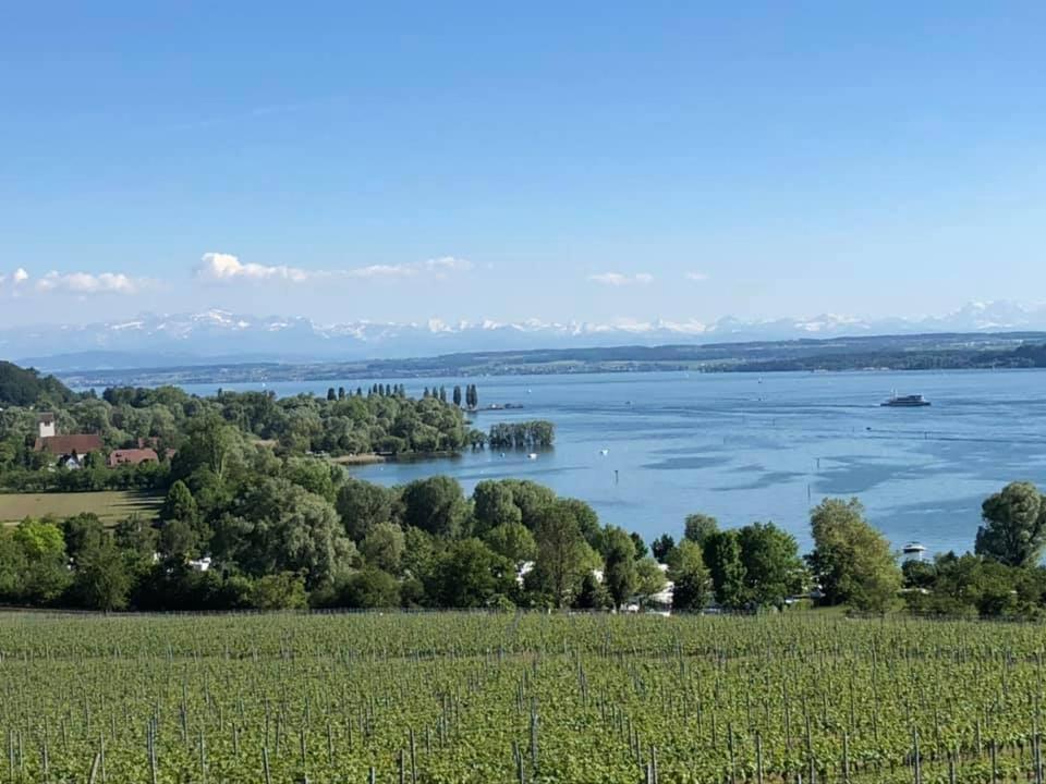 Ferienwohnung "Schmuckstueck Am Tor" Meersburg Eksteriør billede